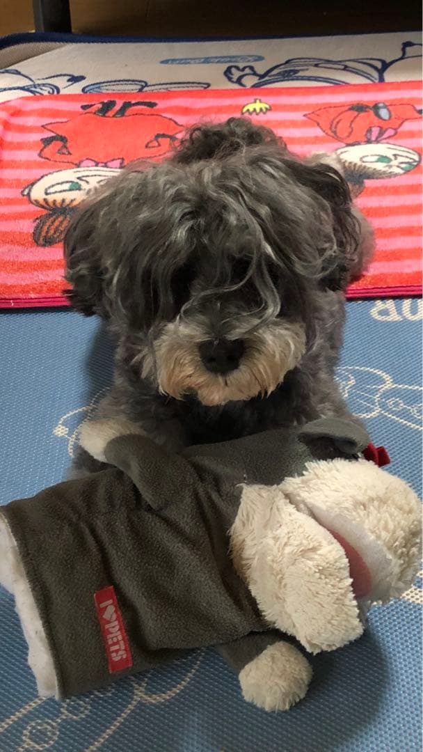 miniさま  確認用　その③