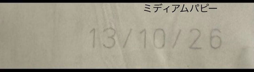  CANIN ロイヤルカナン　中型犬子犬用ミディアム パピー 16kg