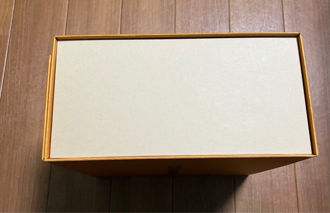 箱•ショッパー付属 美品 LOUIS VUITTON ダヌーヴ エピ