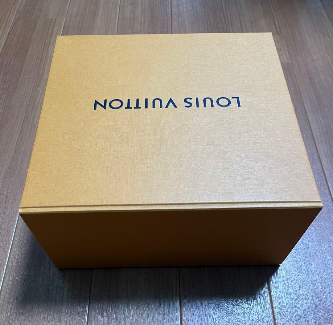 箱•ショッパー付属 美品 LOUIS VUITTON ダヌーヴ エピ