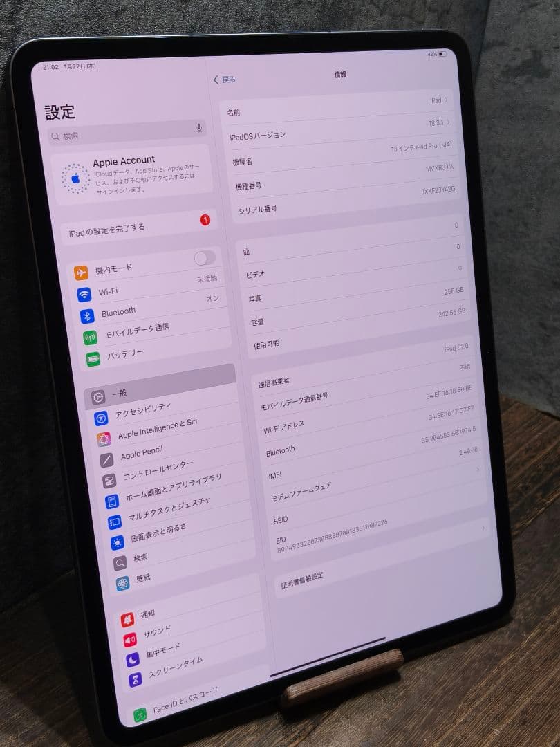 美品 iPad Pro(M4) 13インチ セルラーモデル 256GB
