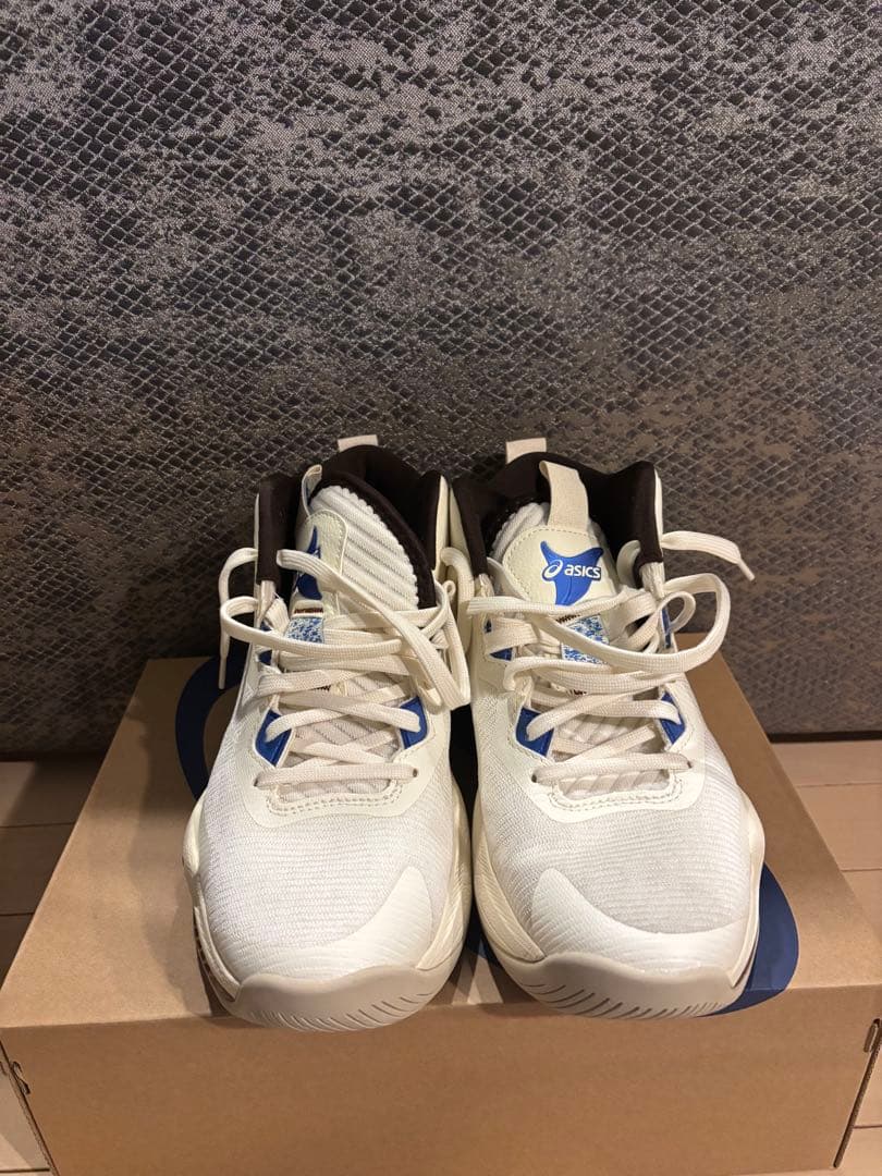 ASICS NOVA SURGE3 バスケットボールシューズ　白　箱タグ付き