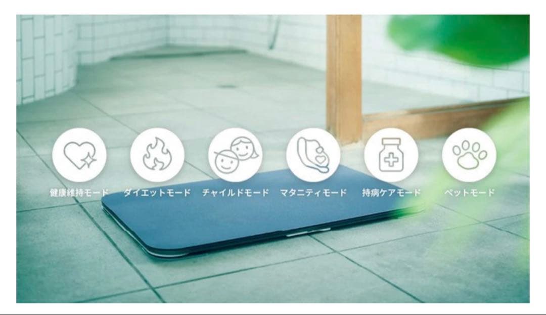 【新品・未使用】issin スマートバスマット 体組成計モデル 2024年製