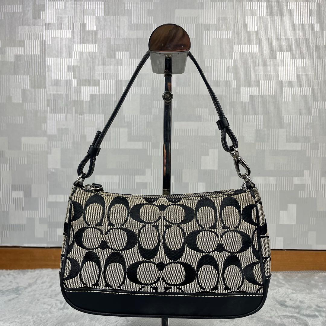 Coach コーチ アクセサリーポーチ グレー系 シグネチャー