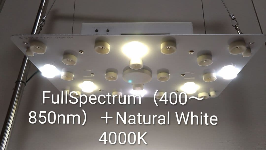 【L7B】多肉&塊根育成　水槽照明　タイマー付LEDライト（DC専用）