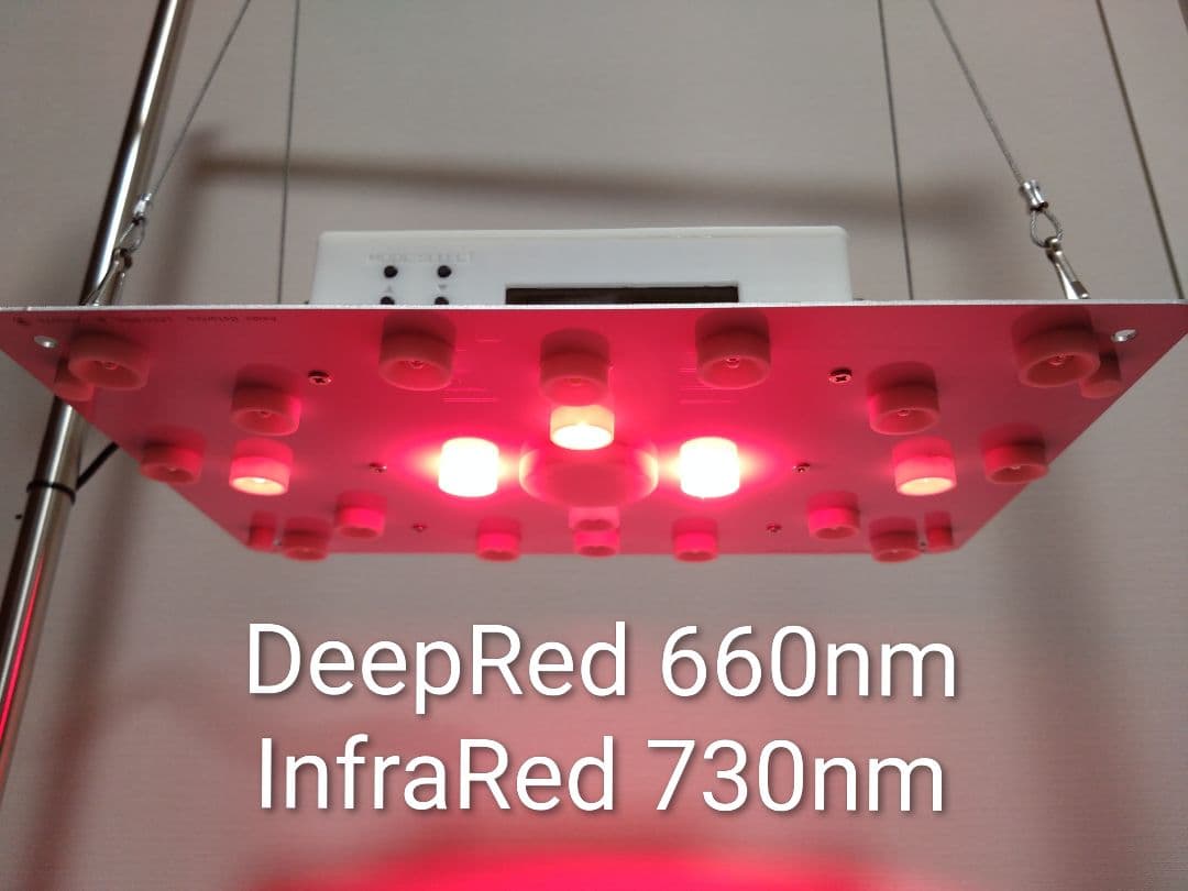 【L7B】多肉&塊根育成　水槽照明　タイマー付LEDライト（DC専用）