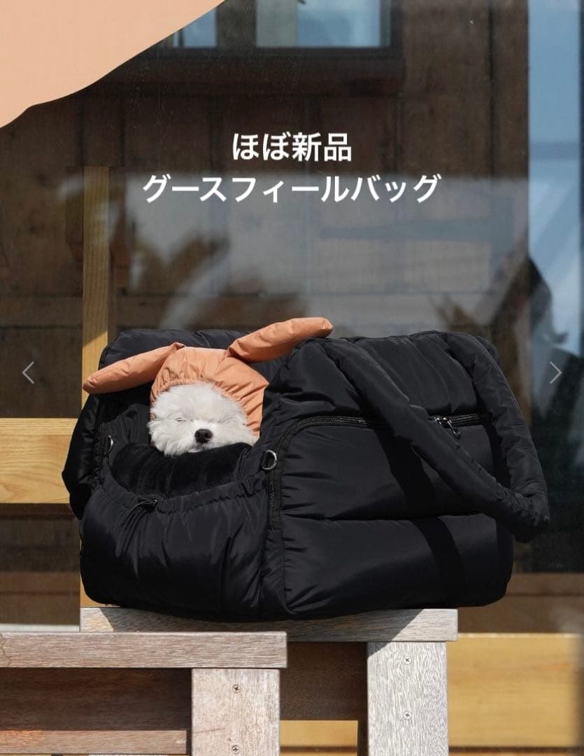 SSOOOK グースフィール バッグ 美品！限定値下げ