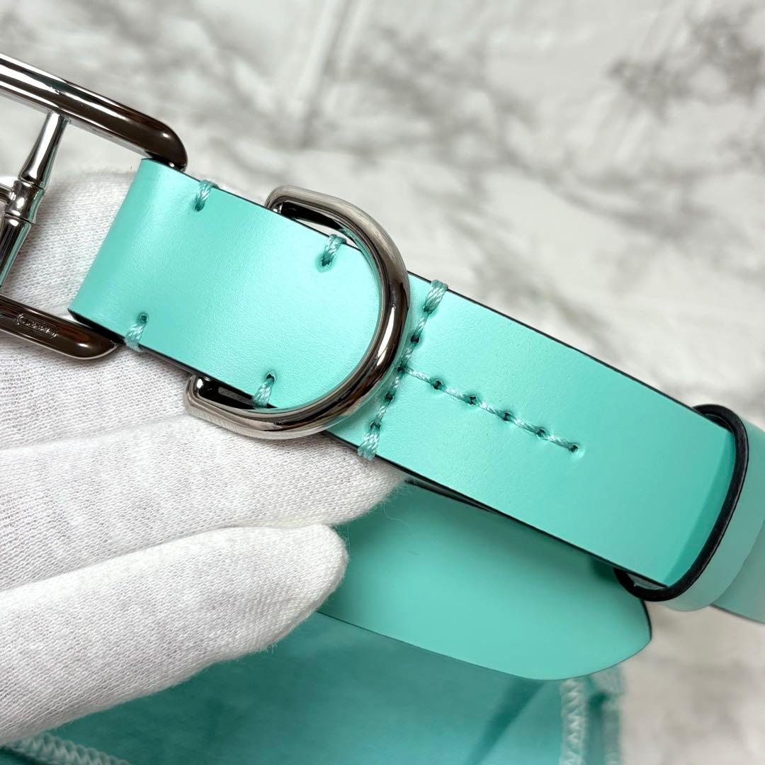 未使用品　TIFFANY ティファニー　首輪　ティファニーブルー　レザー