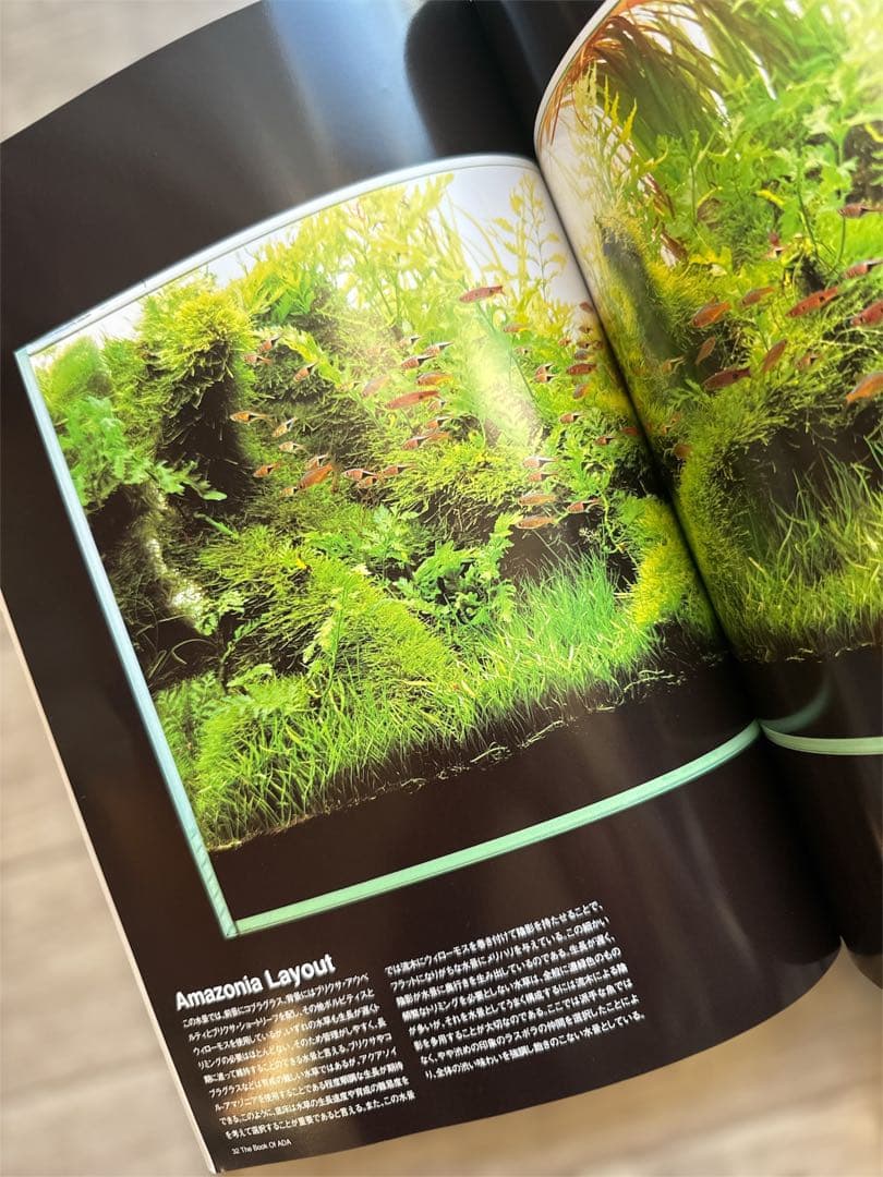 1999年 The Book Of ADA アクアリウム・水草・水槽書籍