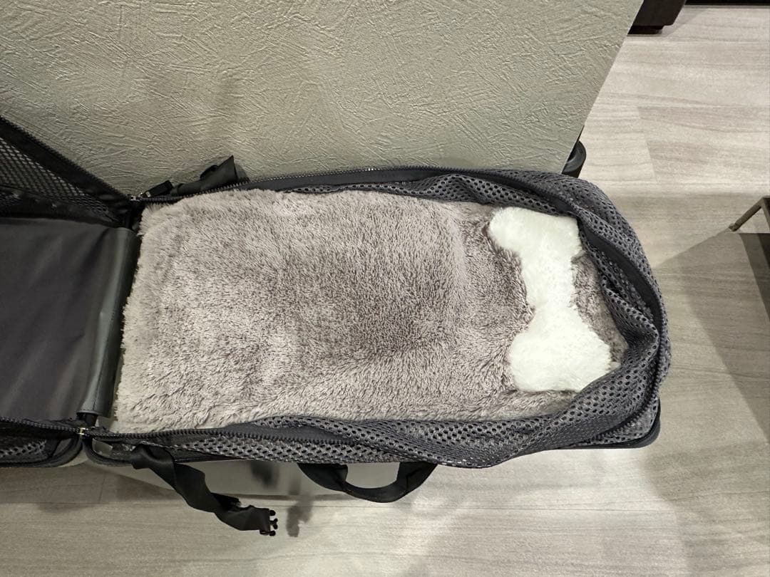 【NOWWEナウィ】犬用コンパクトキャリー《ホワイト》