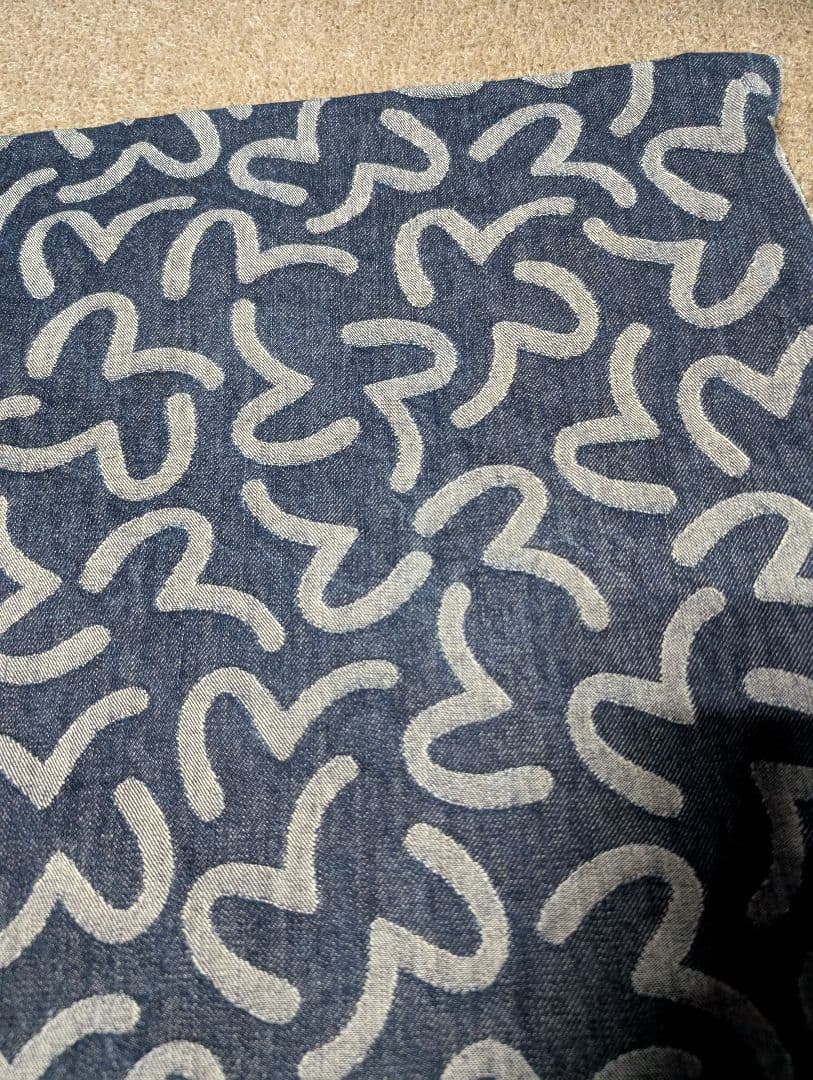 EVISU エヴィス　デニム　カモメ柄クッションカバー