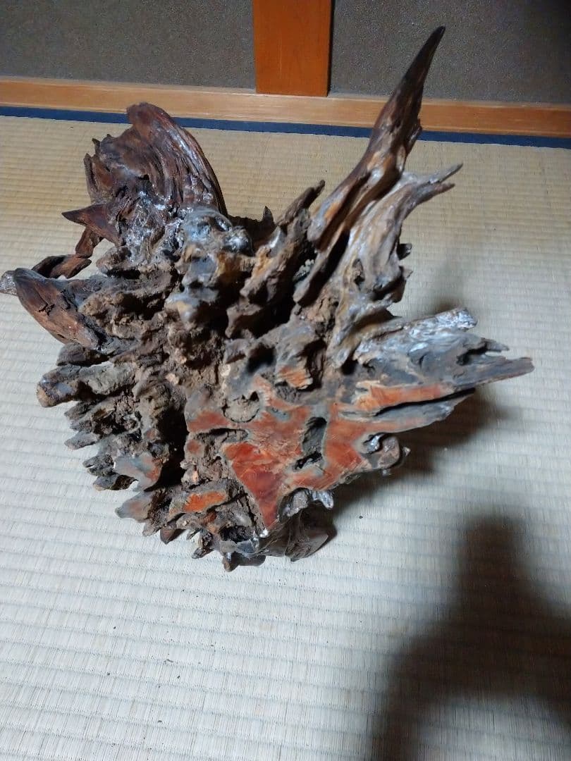 置物  木の根  かぶた