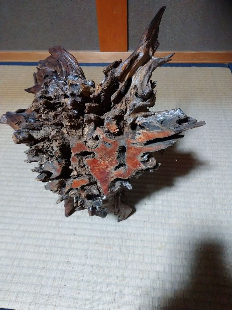 置物  木の根  かぶた