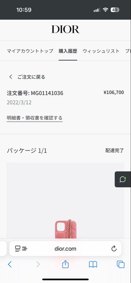 DIOR iPhone12pro 専用ケース