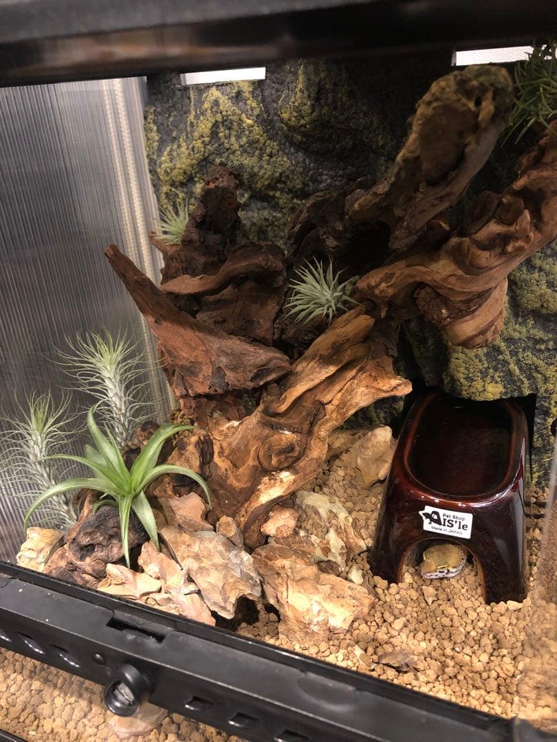 グラステラリウム3030 レイアウト セット