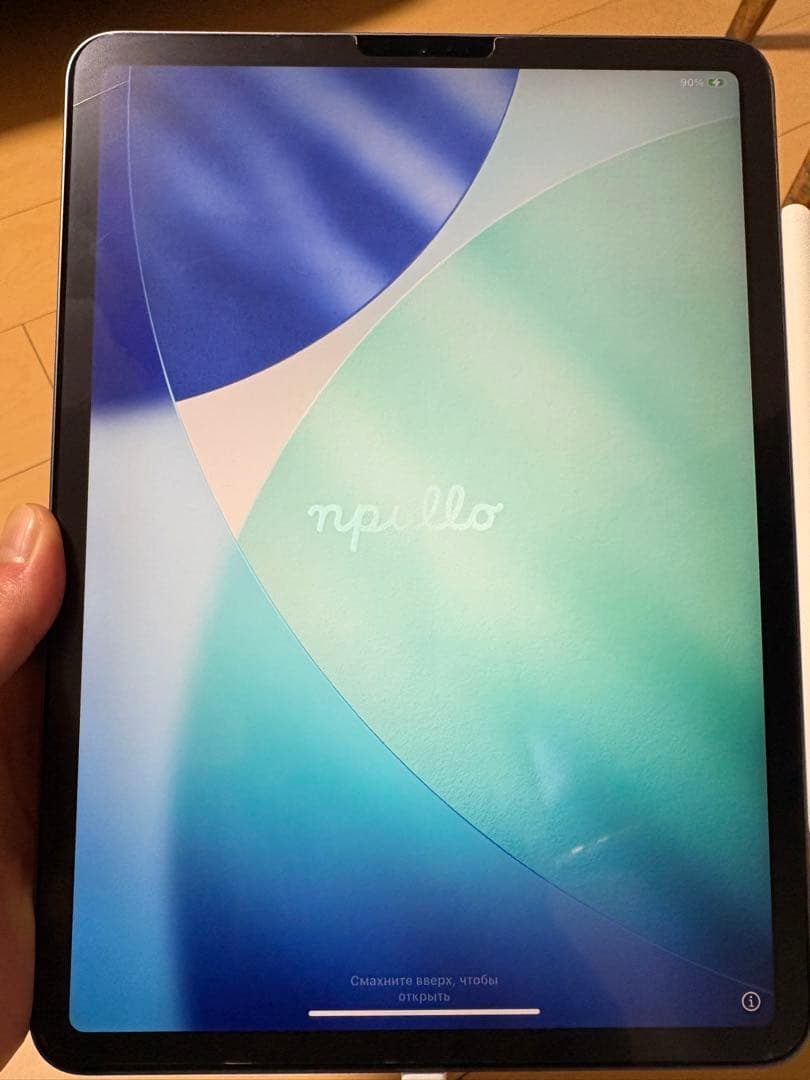 iPad pro 11インチ(第1世代) 256GB Apple Pencil付