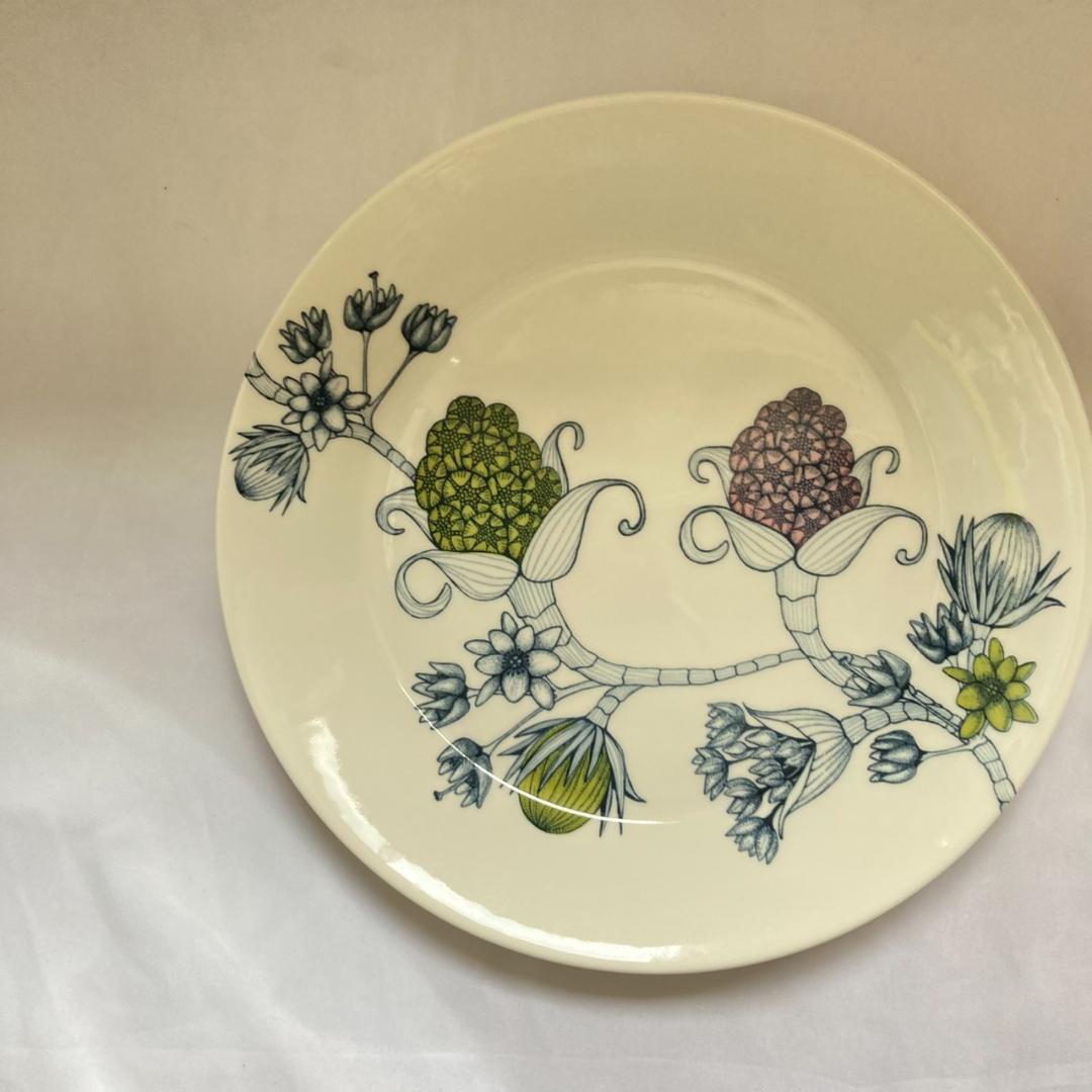 ARABIA　アラビア　Runo　ルノ　スプリングドロップ　26cm　2枚