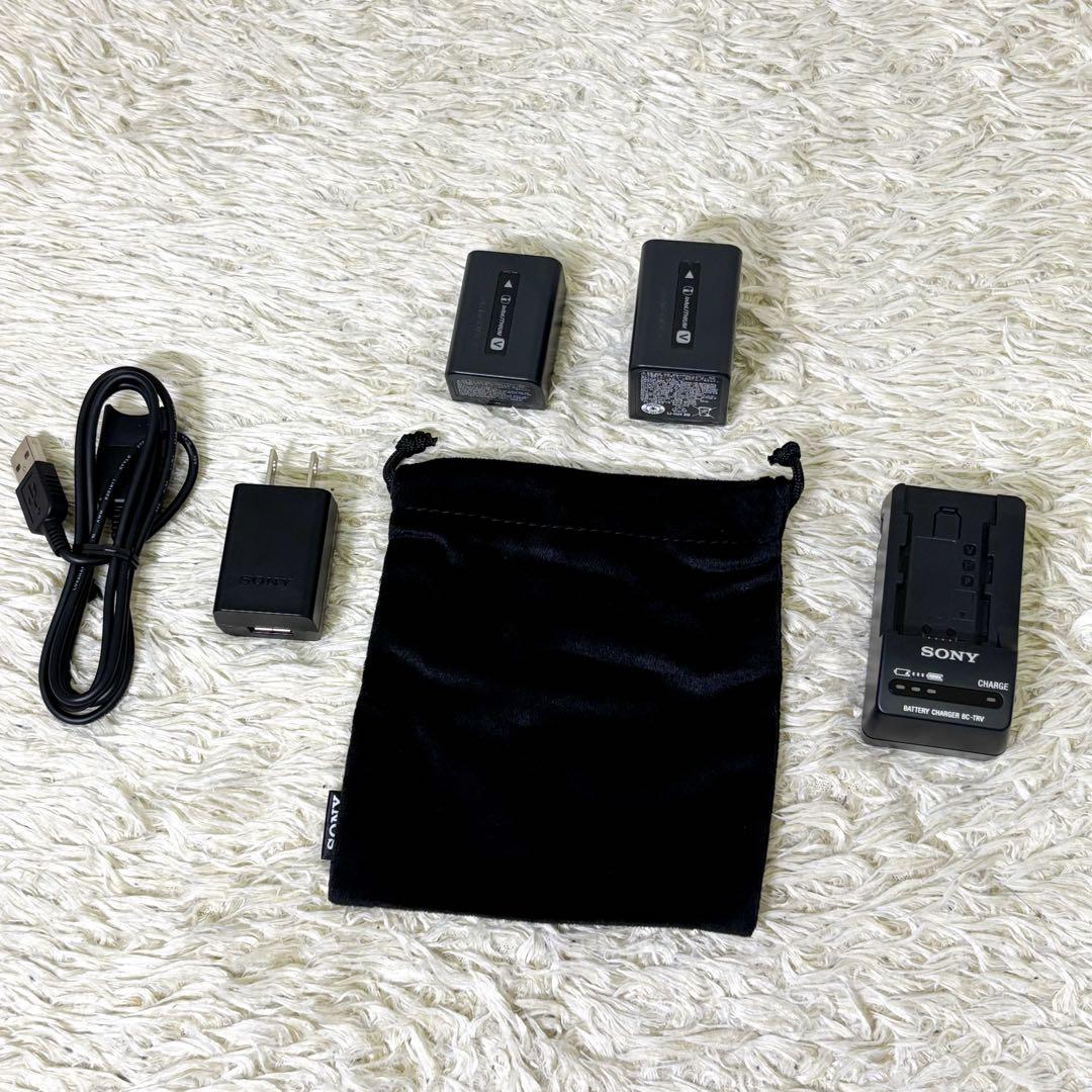 【未使用級】ソニー ハンディカム HDR-CX680 ビデオカメラ ブラウン