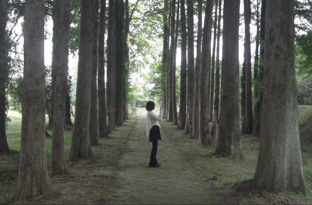 CASIO EXILIM EX-Z1050 デジカメ