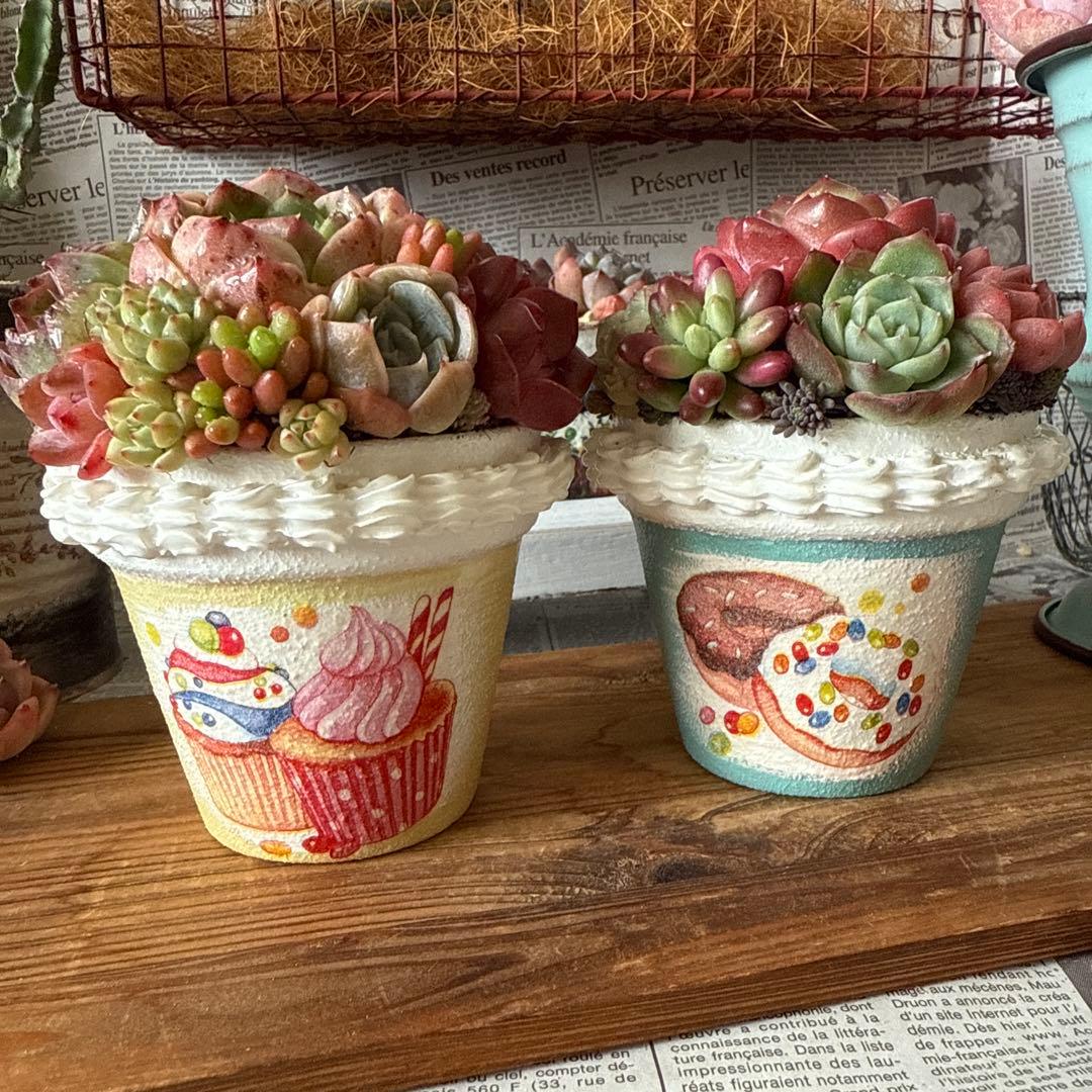 ❤︎sweets whip❤︎ そのまま飾れる多肉植物の寄せ植えリメ鉢ちまリメ缶
