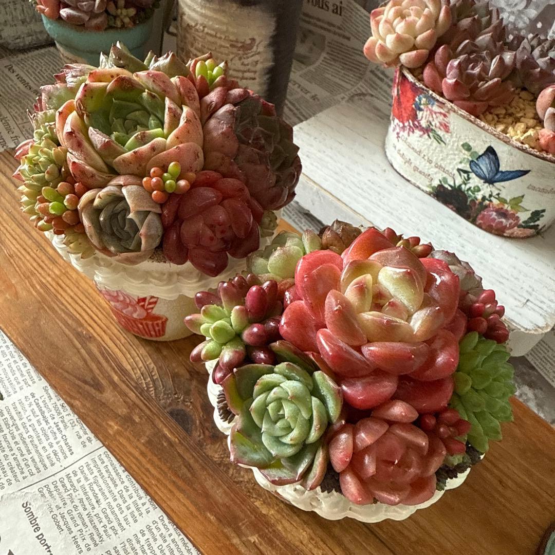 ❤︎sweets whip❤︎ そのまま飾れる多肉植物の寄せ植えリメ鉢ちまリメ缶