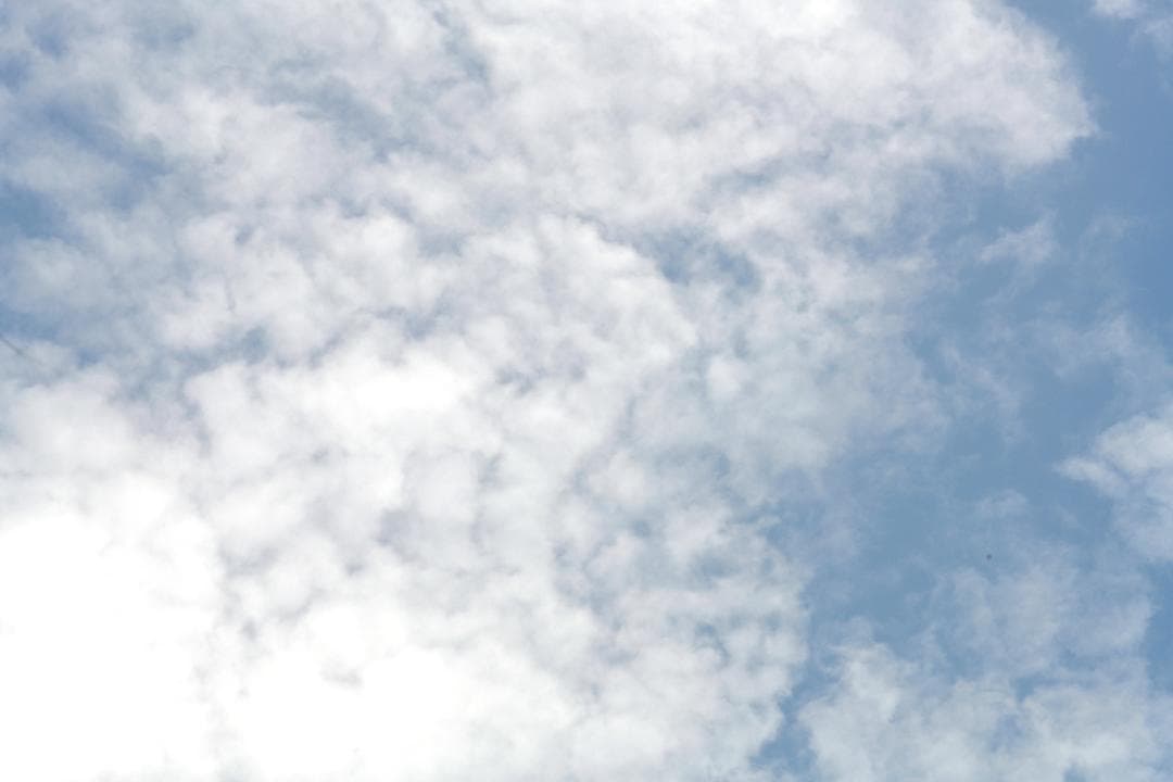 レンズ(単焦点) Nikon Ai-S Micro-NIKKOR 105mm F2.8