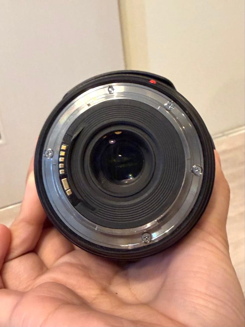 Canon EOS 5D Mark4 EF24-70L IS USMレンズキット