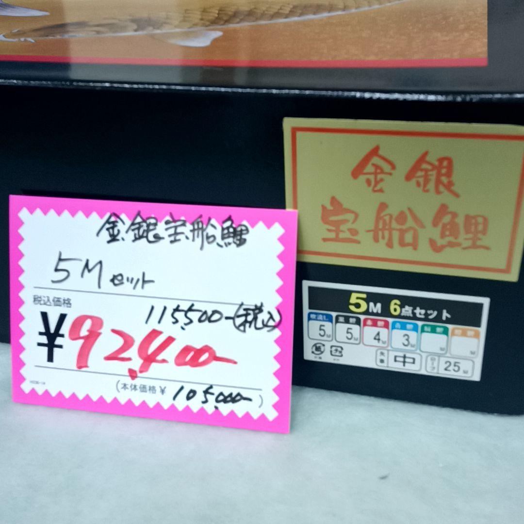 【未使用 】金 銀 宝船 鯉　徳永 鯉のぼりセット 5m