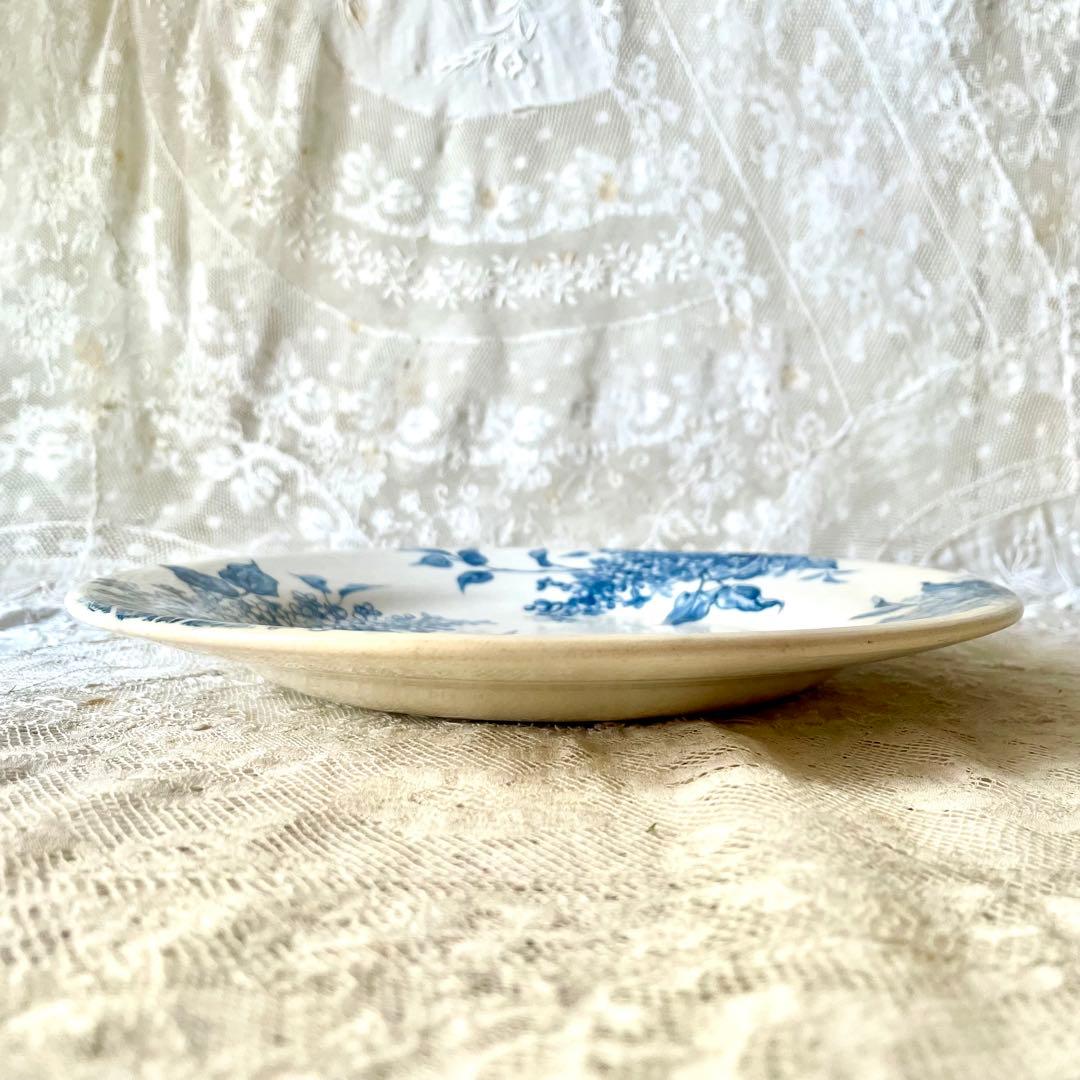 シ*ロ様 サラダ【希少】LILAS リラ平皿プレート　エミール　フランスア