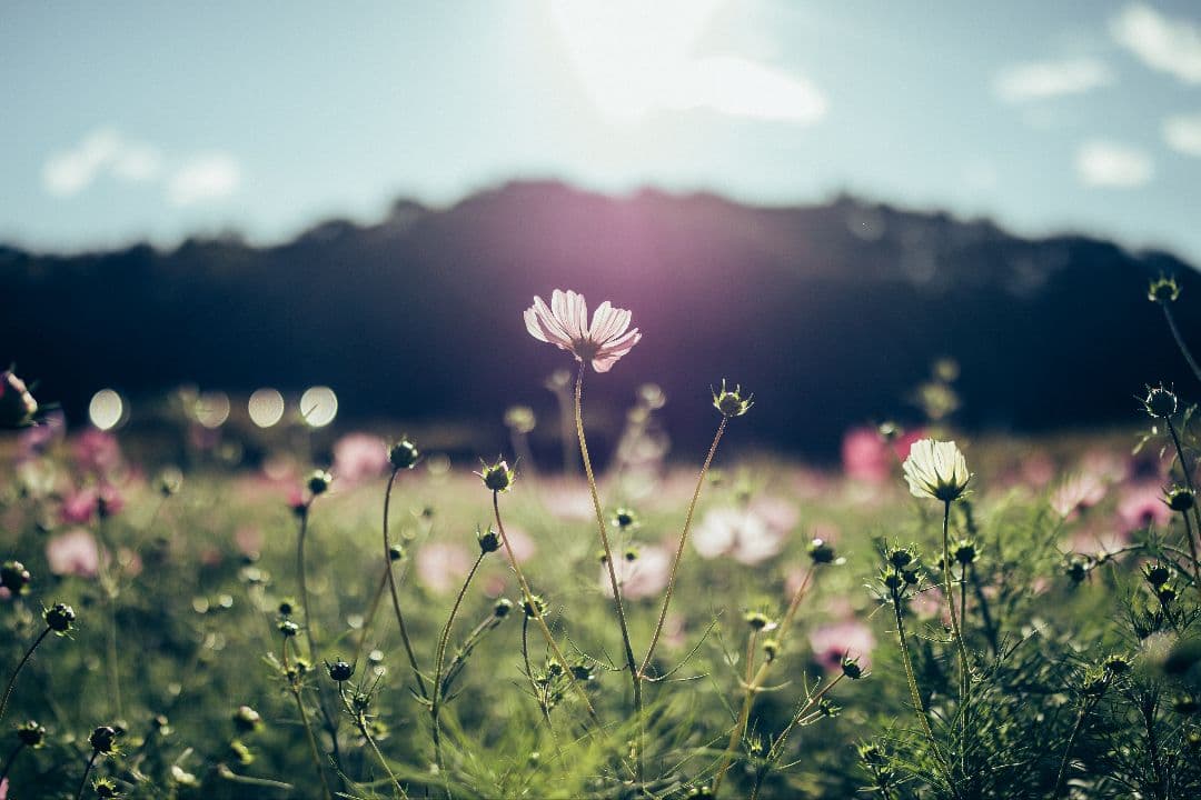 TAMRON SP 35mm F/1.4 Di USD EFマウント