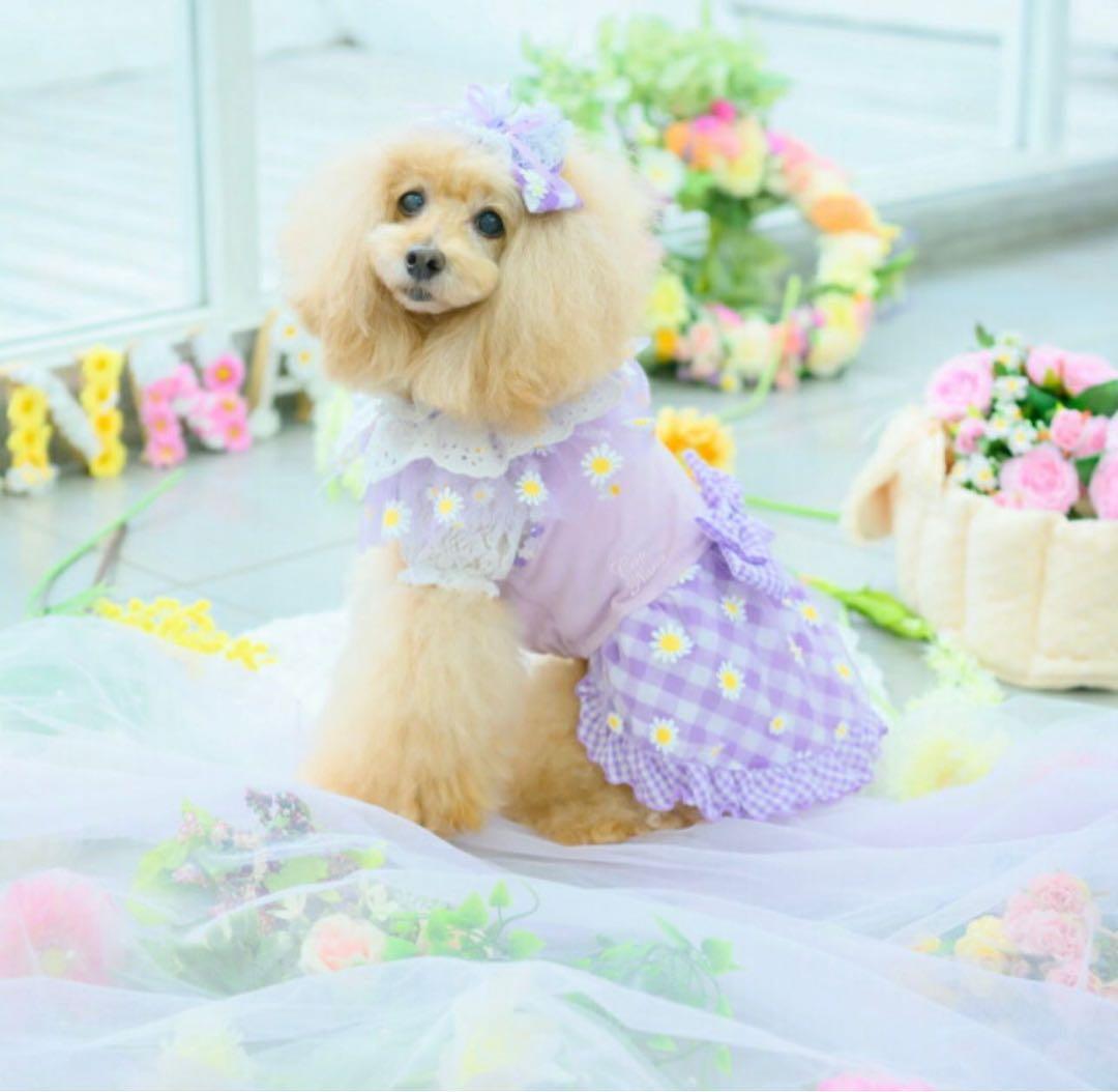 きゃんナナ 犬服 Can Nanaワンピース Mサイズヘアピンセット