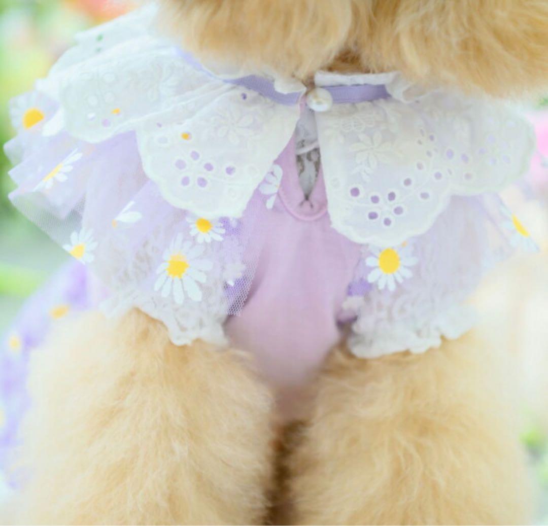 きゃんナナ 犬服 Can Nanaワンピース Mサイズヘアピンセット