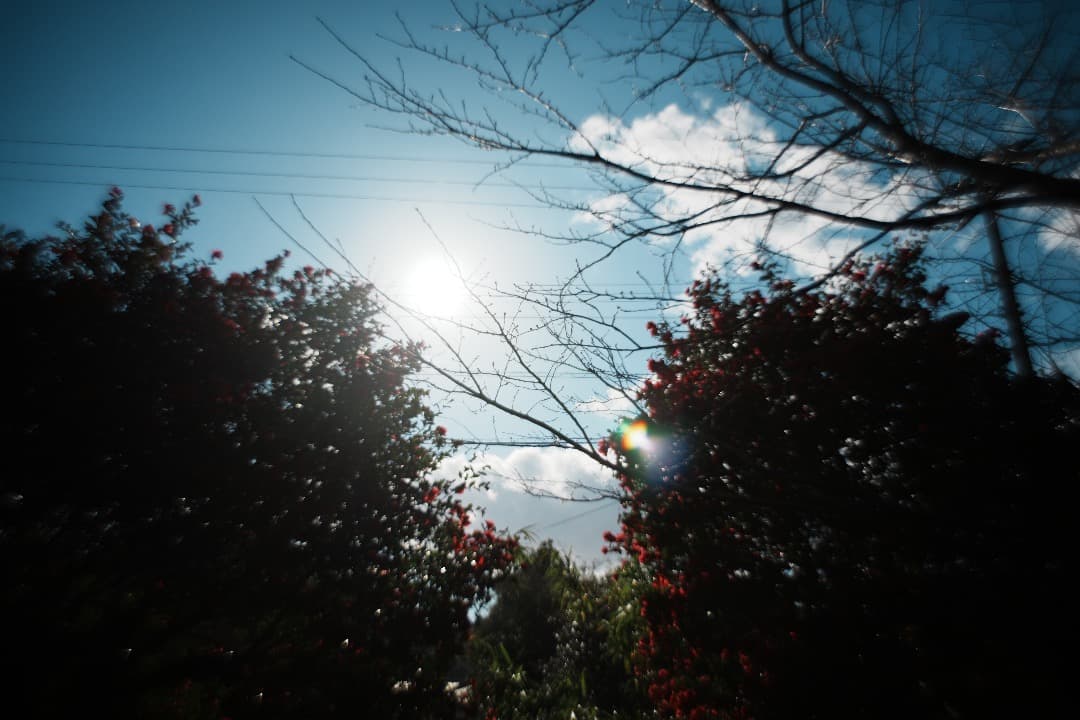 【整備＆テスト】オリンパス Zuiko auto-w 28mm F2.8 922