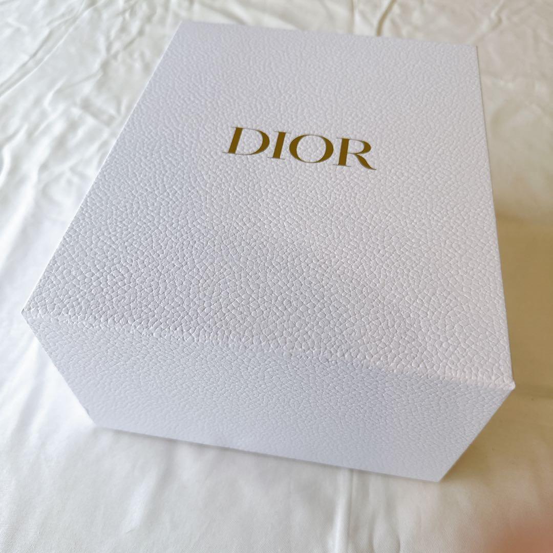 専用　DIOR ディオール　ウォーターボトル　水筒　ステンレスボトル　タンブラー