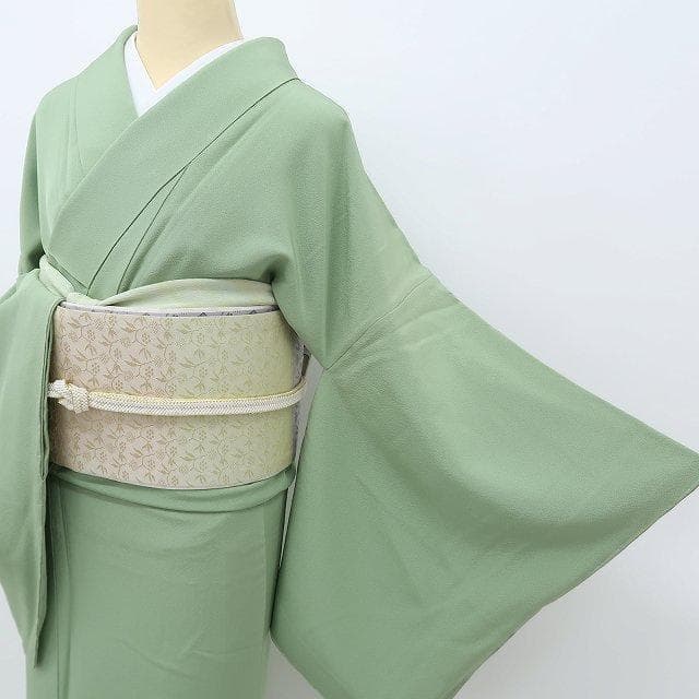 memeriri✾美品 染の粋峰落款 正絹 トールサイズ 色無地 R-76