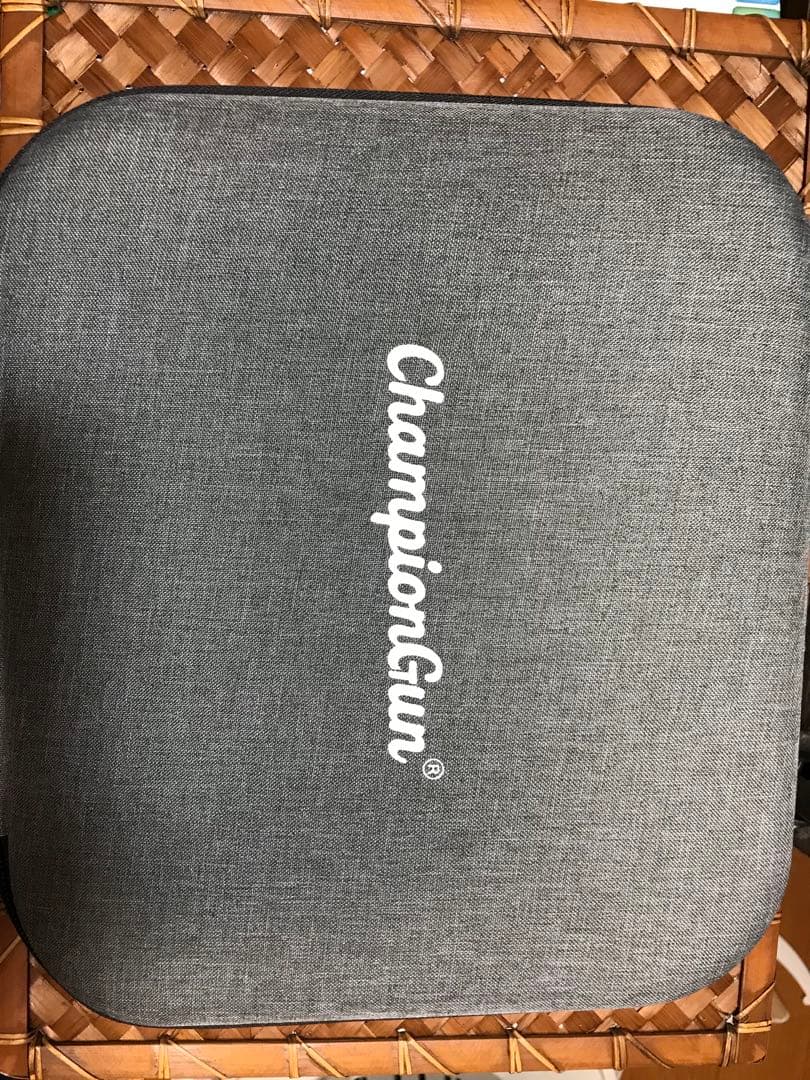 チャンピオンガン　パワー版