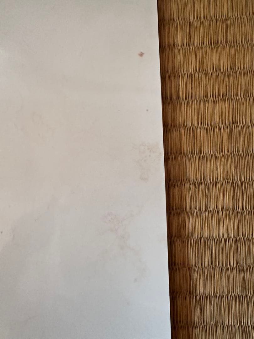 ぴーや 等身大ポスター大和田南那、天木じゅん、華村あすか、くりえみ5枚