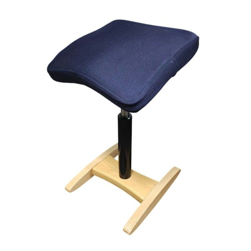 Balans Synergy バランス シナジー スクエアシート 専用カバー付