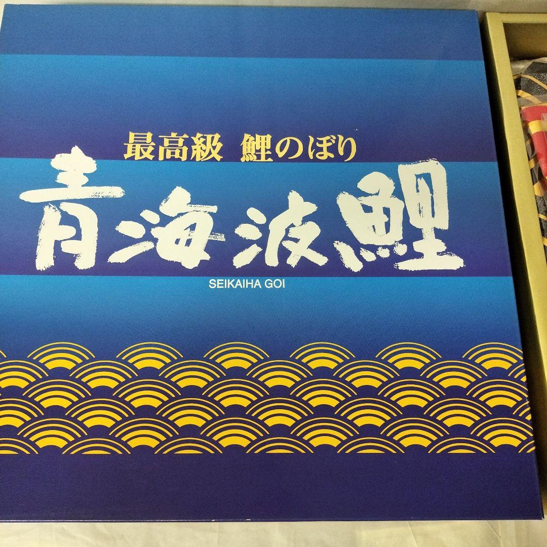 4M青海波鯉　雲龍吹き流し