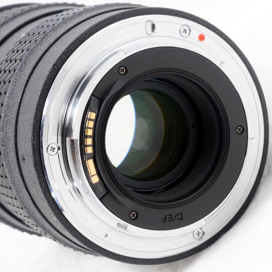 ★実用品★TOKINA AT-X PRO 28-80mm F2.8 キヤノン用