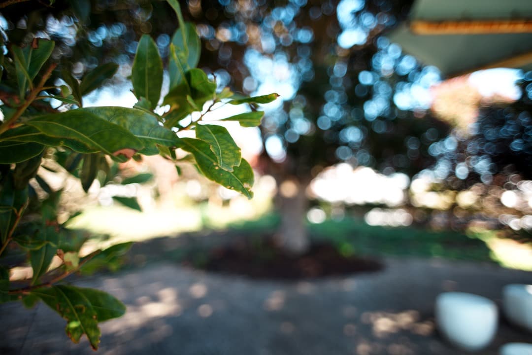 【◯マーク】動作◎ Canon FD 24mm F2.8 S.S.C 576