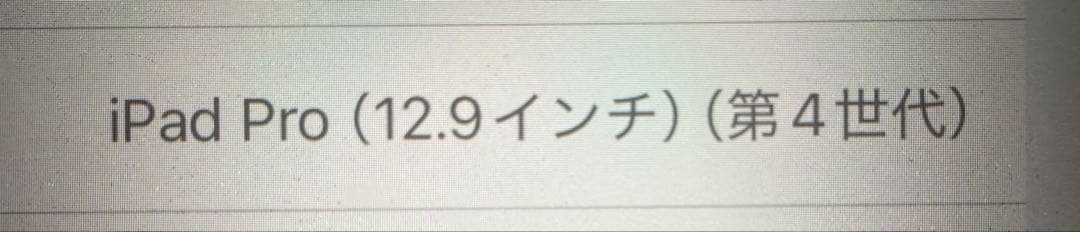 iPad Pro (12.9インチ) (第4世代) スペースグレー