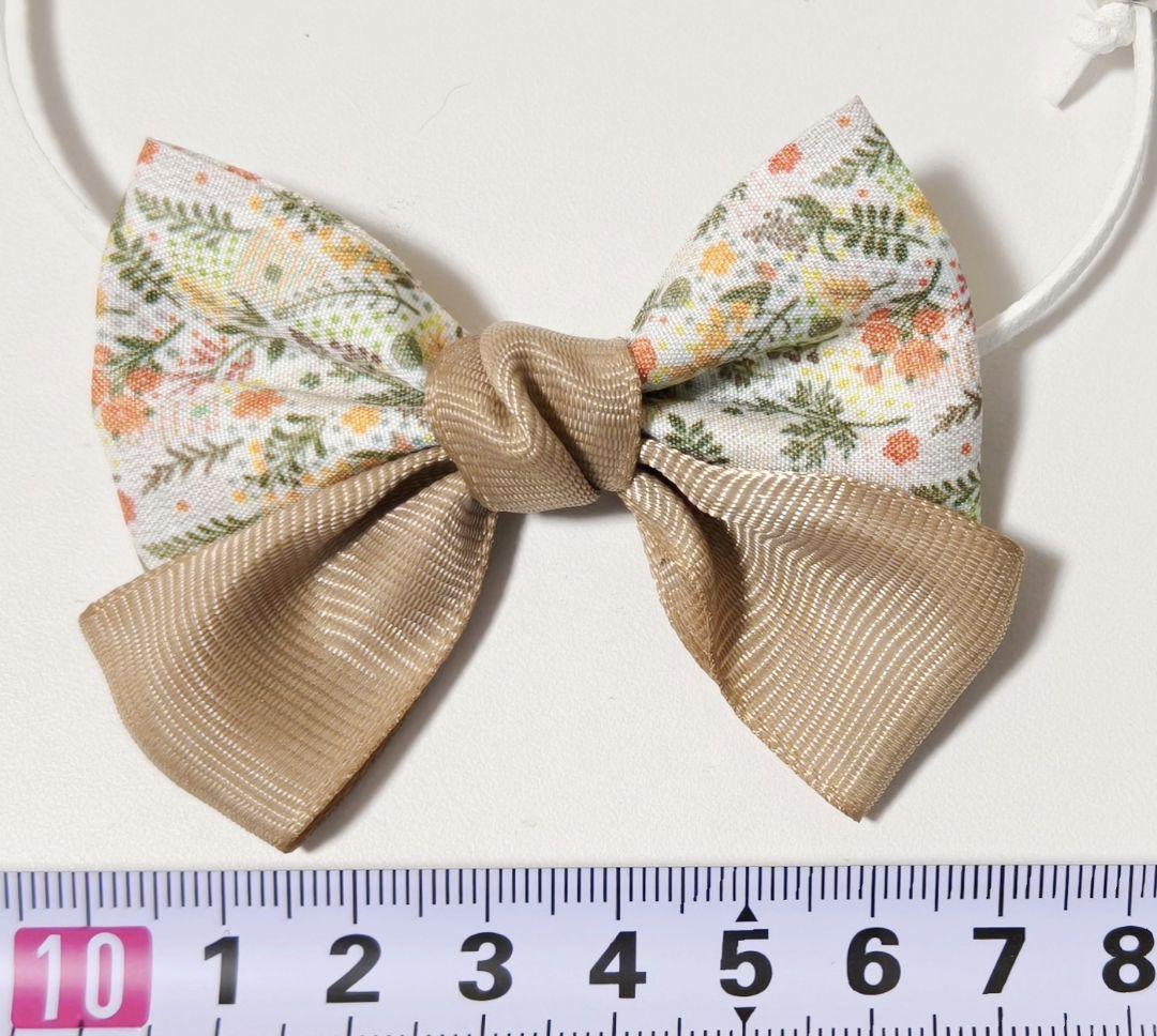 背景布+秋色チョーカー　パンパスグラス　お月見　十五夜　ペットサロン撮影用