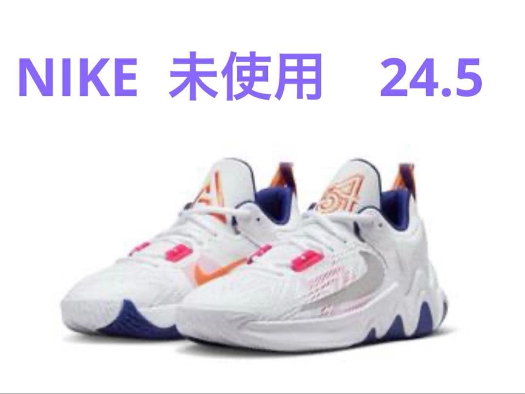 NIKE Giannis Immortality 2 24.5cm 新品未使用