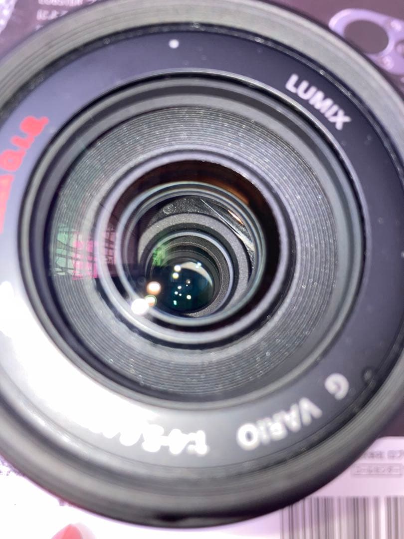 Lumix 45-200mm MEGA O.I.S. ズームレンズ