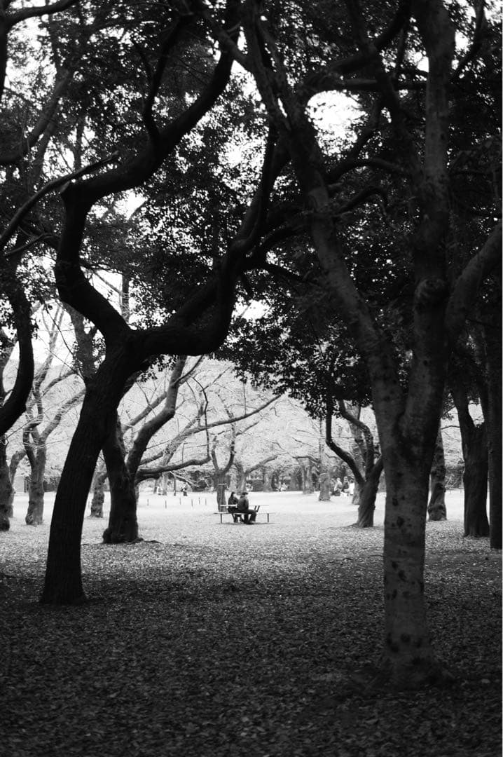 Ricoh GXR S10＋A12 50mm F2.5 MACRO＋オマケ付き