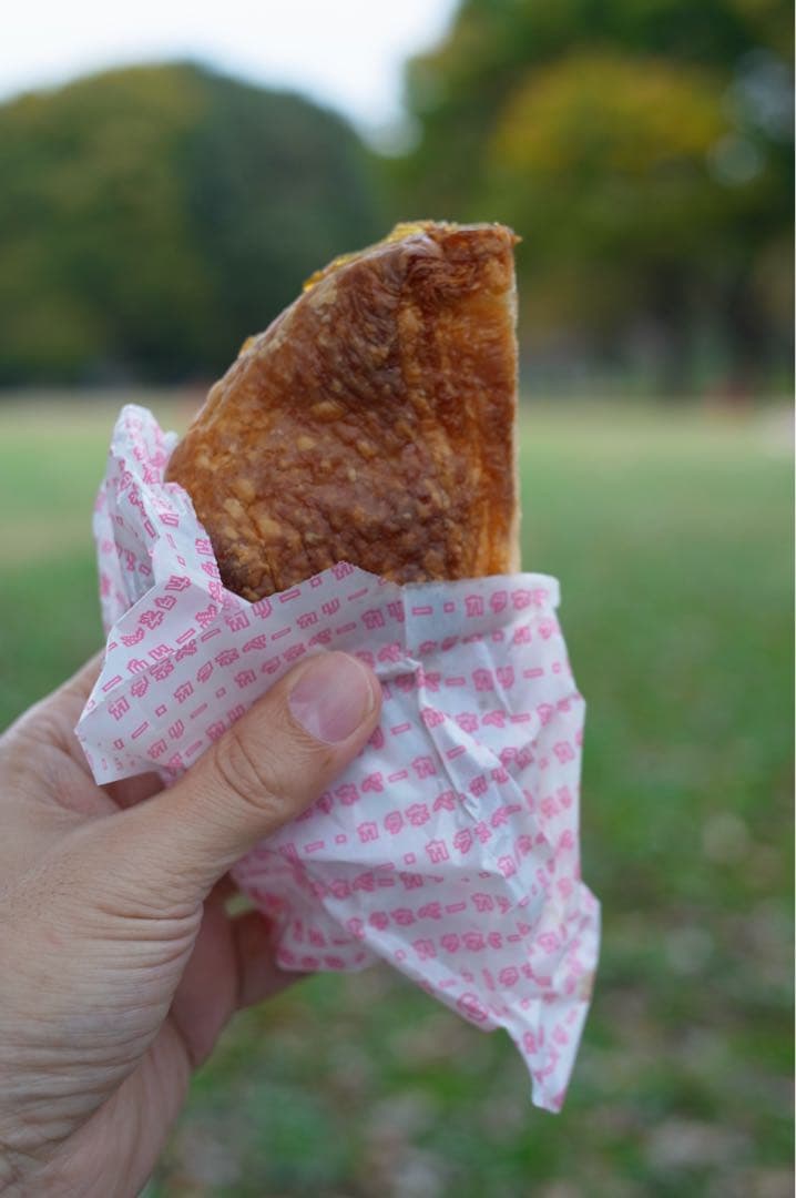 Ricoh GXR S10＋A12 50mm F2.5 MACRO＋オマケ付き