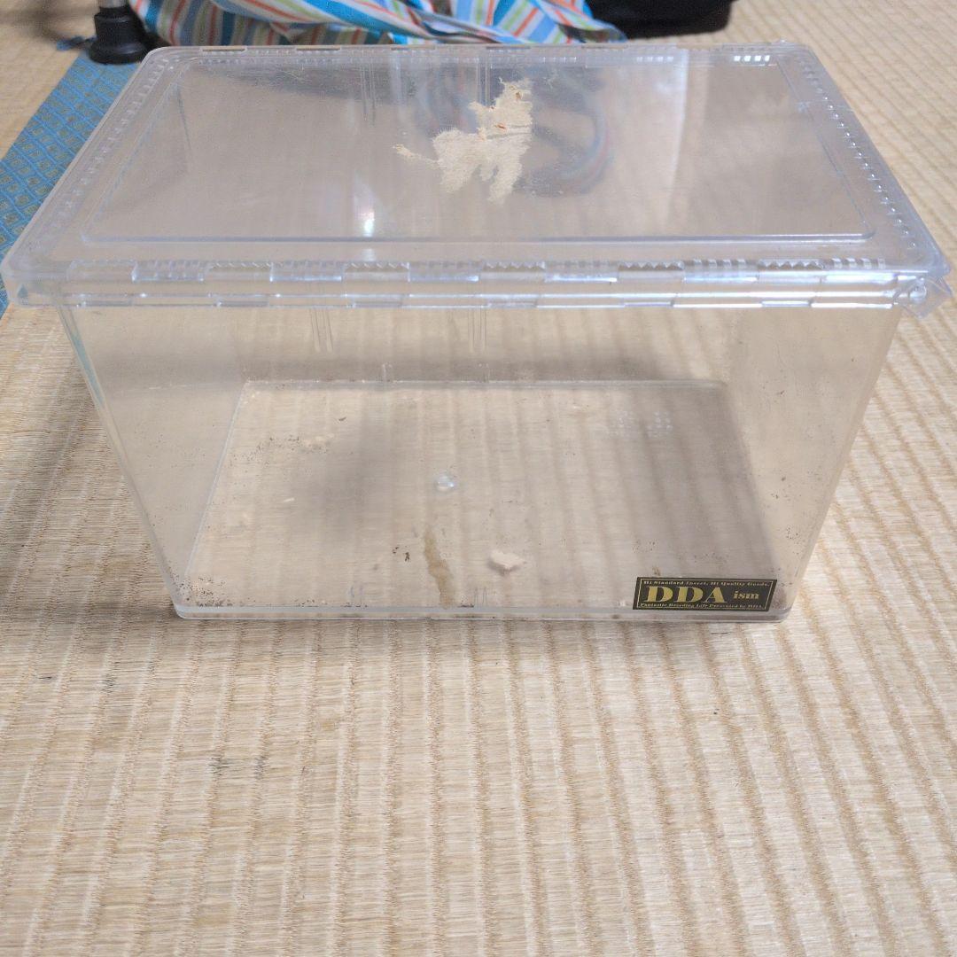 飼育ケース