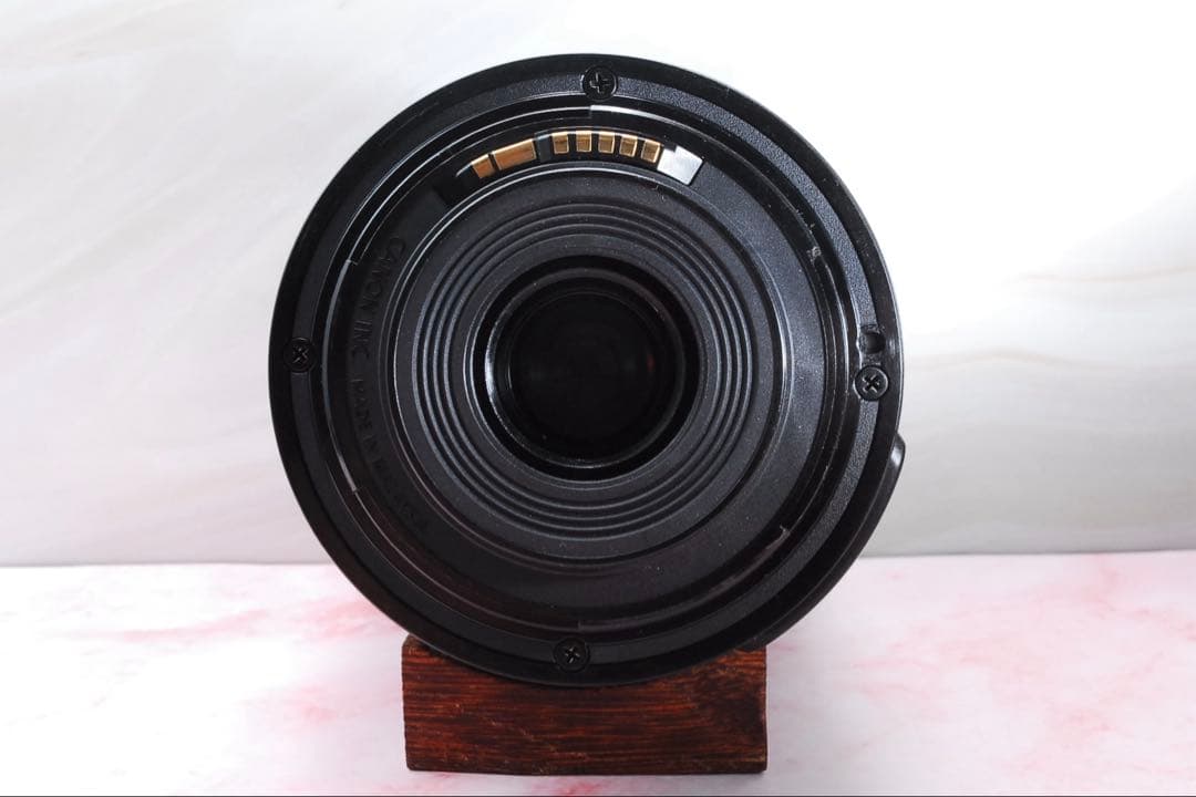 美品✨Canon EF-S 55-250mm IS STM 高性能望遠レンズ