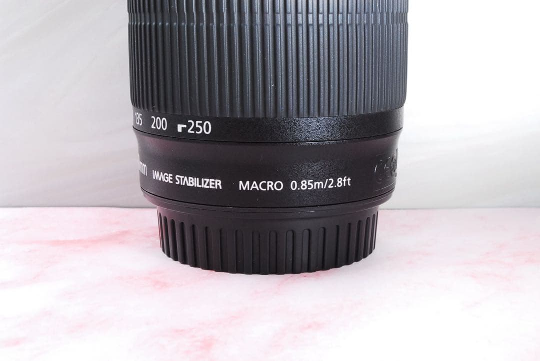 美品✨Canon EF-S 55-250mm IS STM 高性能望遠レンズ